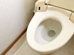 ウォシュレット